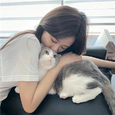 绿衣骑士